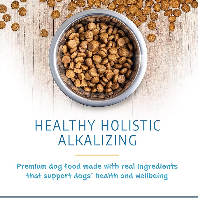 Canine Caviar Open Range Dog Food | Limited Ingredient Alkaline Holistic Dog Food – All Life Stages | Gluten Free, Ultra-Premium Dog Food | Healthy Skin & Coat | Buffalo & Chickpea – 4.4 lbs