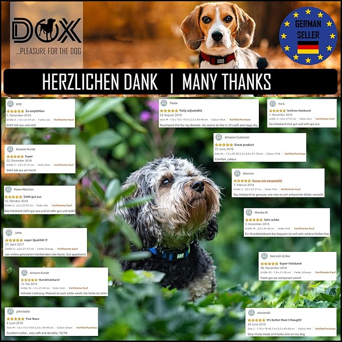 DDOXX Reflective Nylon Dog Collar, S (Purple) - Adjustable, Strong and Comfortable Collar for Dogs with Quick Release Buckle, Durable and Visible for Safety - Dog Leash Ideal for Training and Walks