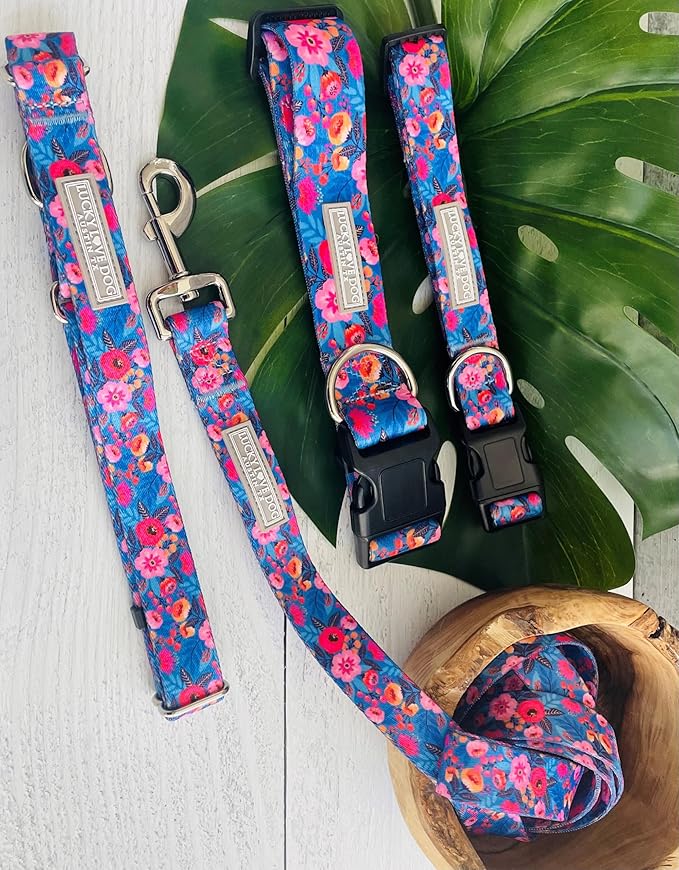 Lucky Love Dog Wide Dog Collar - Adjustable, Durable, Soft Webbing, & Comfortable 1.5 inch Wide Collar for Dogs Male and Female - in Zuzu Pattern with Strong Buckle, X-Large Size