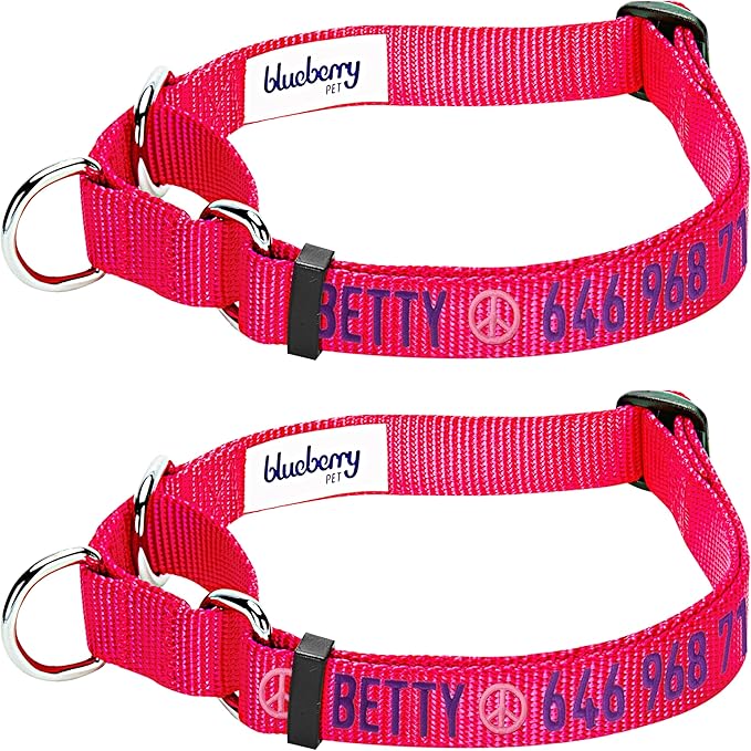 Blueberry Pet Essentials Personalized Martingale Safety Training Dog Collar, French Pink, Large, Adjustable Customized ID Collars for Dogs Embroidered with Pet Name & Phone Number