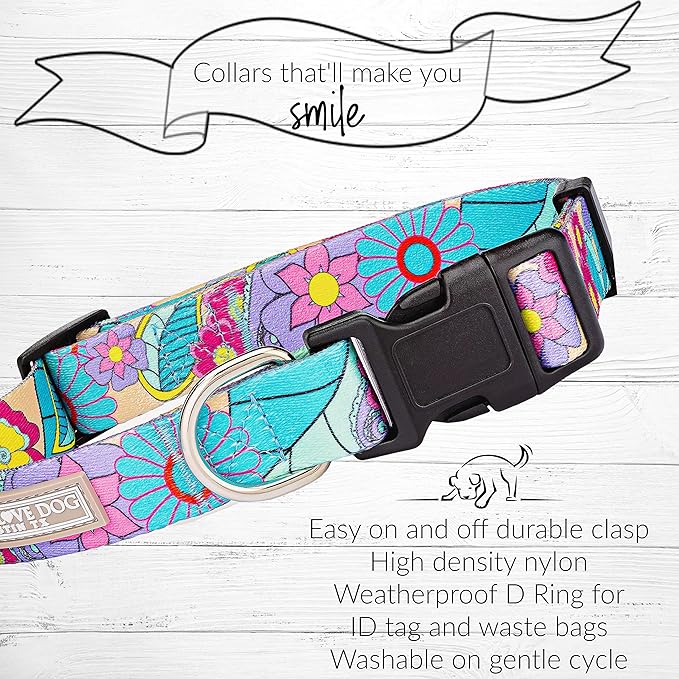 Lucky Love Dog Collar and Leash Combo, Cute Collar and Leash Set for Small Female Dogs, Part of Purchase Donated to Rescue (Small, Caroline, Combo)