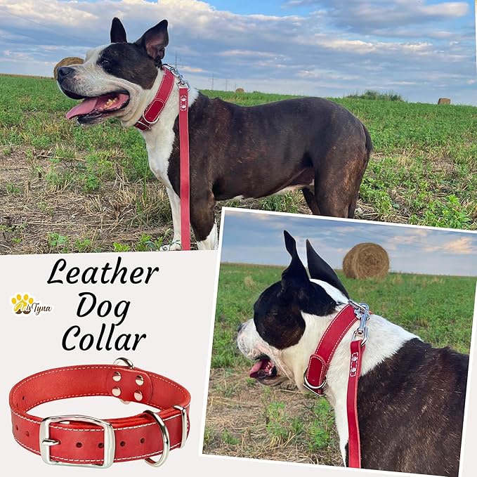 ADITYNA Heavy Duty Leather Dog Collar - Soft and Strong Red Dog Collar for Medium Dogs (Medium: Fit 13" - 20" Neck, Red)