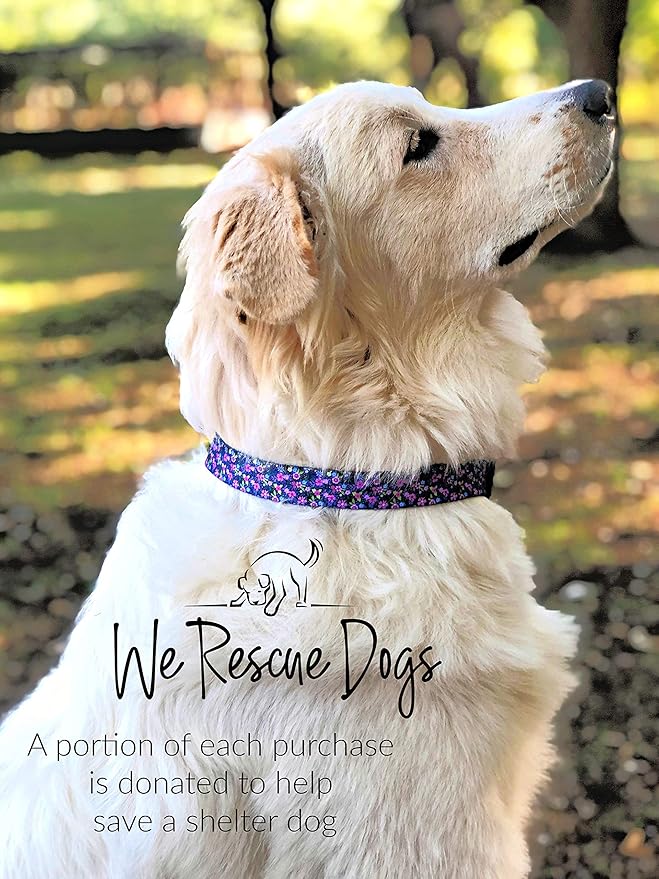 Lucky Love Dog - Adjustable Dog Collar with Easy Click Buckle for Small to Large Dogs, Durable, & Comfortable Collar for Male & Female Dogs, Pet Collar for Puppies & Adult Dogs - Primrose, Large