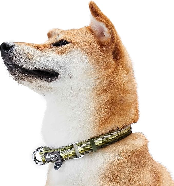 Blueberry Pet 3M Reflective Dog Collars | Adjustable Dog Collar w/Multi-Colored Stripe - Olive | Nylon Pet Collars for Dogs & Refflective Dog Collar for Small Dogs