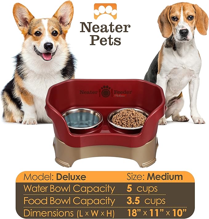 Neater Feeder Deluxe Mess Proof Dog Bowls Elevated Medium Sized Dog Breed – Made in USA – No Spill Raised Dog Food Bowl Stand – Stainless Steel Food and Water Bowl Set, Pet Feeding Station, Cranberry