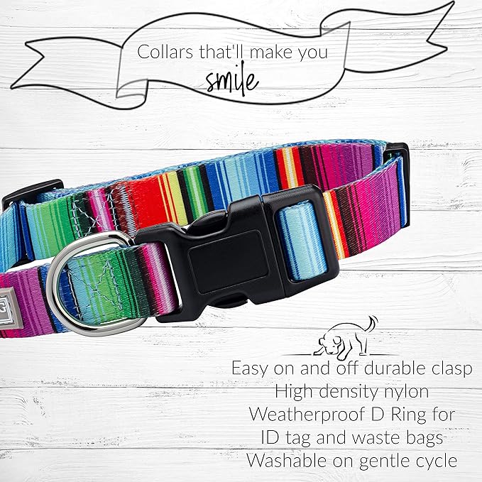 Lucky Love Dog Collars, Rainbow Striped Dog Collar for Medium Dogs, Vivid Pattern Girl or Boy Dog Collars, Nacho, Medium