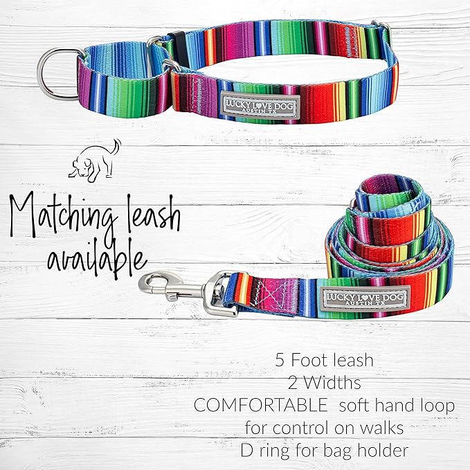Lucky Love Dog Martingale Collar, Premium No Slip Collar, Colorful Striped Martingale Dog Collar for Medium Dogs, Great for Whippets, Greyhounds, and More (Medium, Nacho)