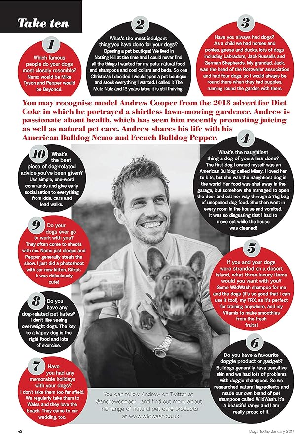 PRO Dog Shampoo No. 1 Ylang Ylang - Made in UK Natural Pet Care by Andrew Cooper - 10.2 fl oz (Dilutes to 2.6 gallons)