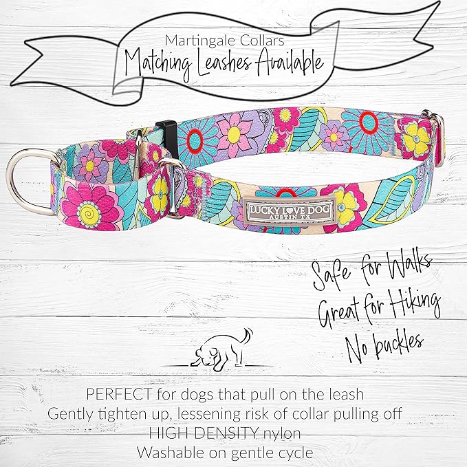 Lucky Love Dog Martingale Collar and Leash Set, Premium No Slip Martingale Collar for Dogs, Great for Whippets, Greyhounds, and More (Caroline, Medium - Combo)