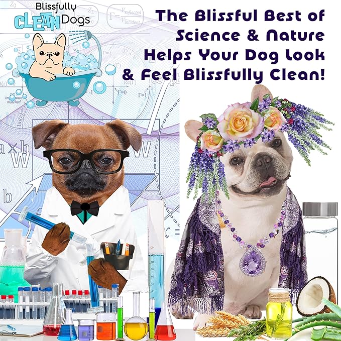 The Blissful Dog Flawless Finish Dog Conditioner, 1-Gallon