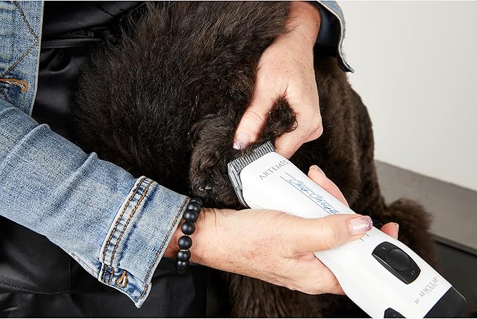 Chris Christensen Artemis Dog Clipper, Cordless Grooming, #10 Blade, Runs Quiet 63 db, Lightweight 0.84 lbs, 4-Hours Run Time Lithuim Ion Battery, Made in Germany, White