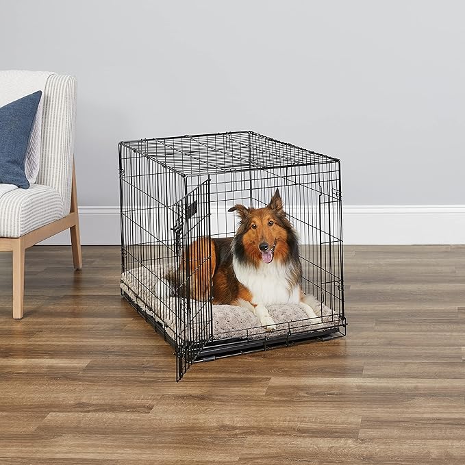 MidWest Homes for Pets Newly Enhanced Single & Double Door iCrate Dog Crate, Includes Leak-Proof Pan, Floor Protecting Feet, Divider Panel & New Patented Features