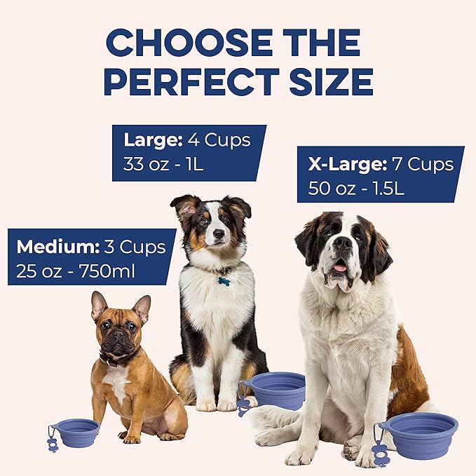 Bonza by Leash Boss Collapsible Dog Slow Feeder Bowl, Portable Silicone Travel Bowl for Food & Water, Slow Eating for Large, Medium, & Small Sized Breeds, Anti-Choking, BPA-Free, Dishwasher Safe