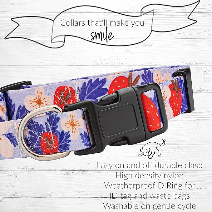 Lucky Love Dog Collar Combo Set, Strawberry Cute Girl Dog Collar and Leash Set, Dog Collar and Leash Set for Medium Dogs, Part of Purchase Donated to Rescue (Medium, Sweet Berry, Combo)
