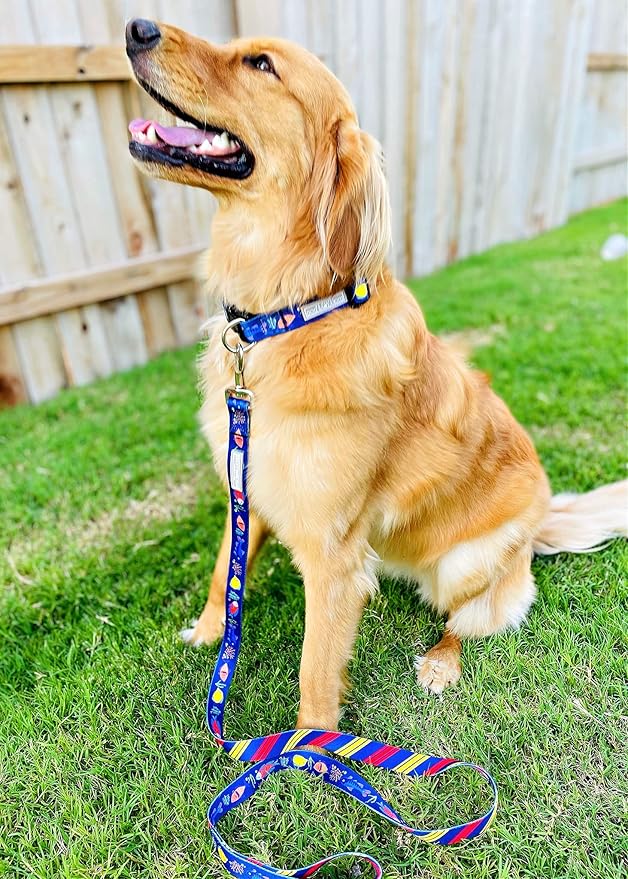 Lucky Love Dog Combo Set, Tropical Fish Dog Leash and Collar Set, Blue Color Matching Dog Collar & Leash, Part of Purchase Donated to Rescue (Small, Mackey, Combo)