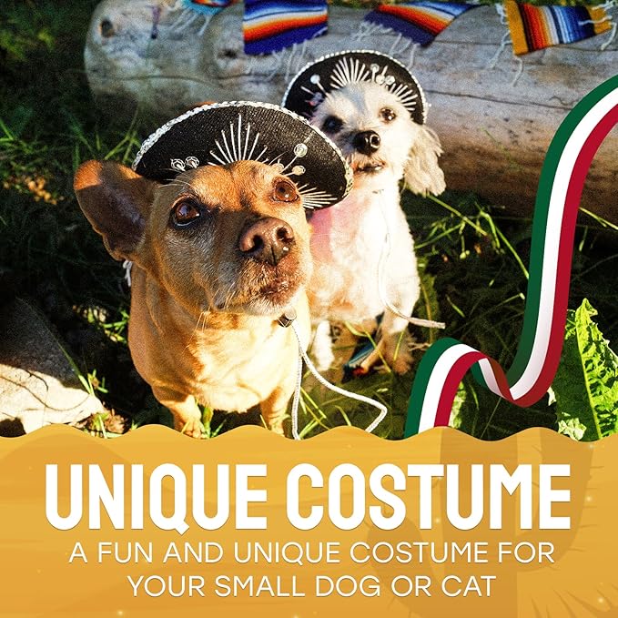 Mini Mariachi Hat 6 inch Black Sombrero for Fiesta Themed Parties for Small Dog/Cat Costume