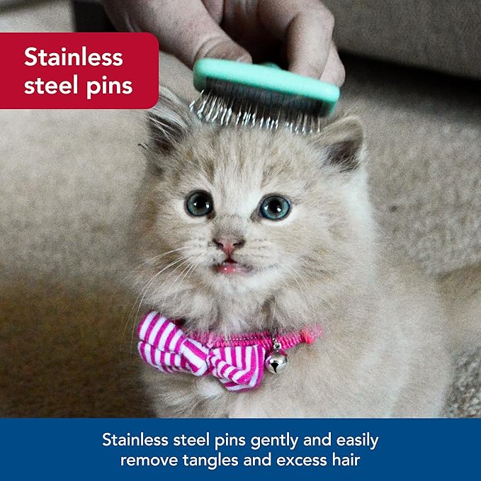 Coastal Pet Li'l Pals - Kitten Slicker Brush with Coated Tips