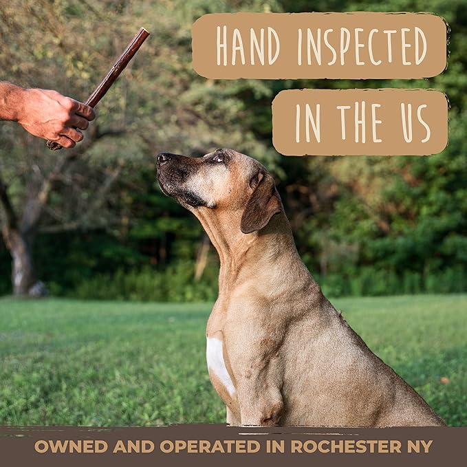 Mighty Paw Naturals 12" Bully Sticks for Dogs - Grass Fed Beef Dog Chews. Dog Bully Sticks for Large Dogs, Medium and Small Breeds. Lower Odor Bully Sticks for Small Dogs. Single Ingredient