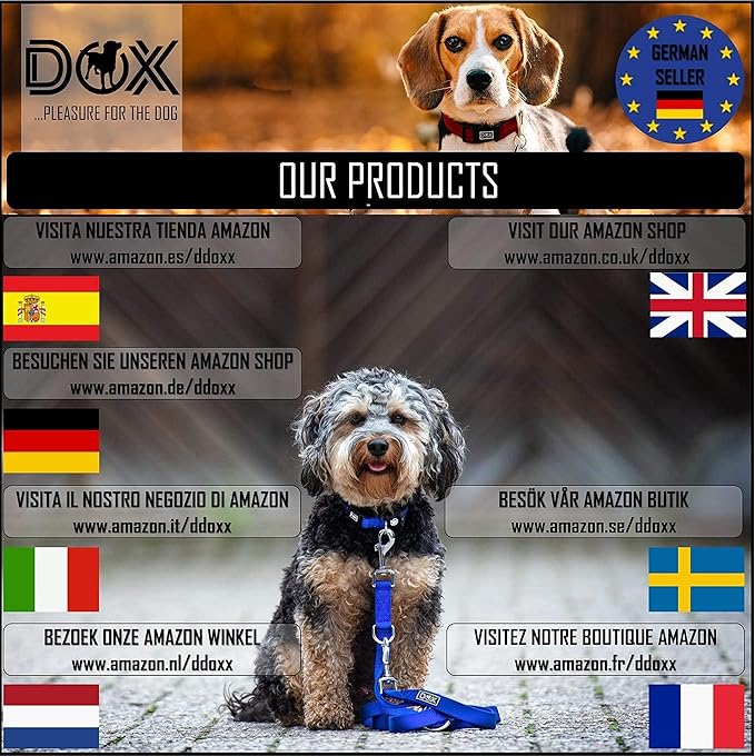 DDOXX Reflective Nylon Dog Collar - Strong and Adjustable Collars Dogs - L (Orange)