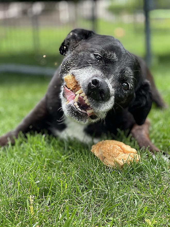 Devil Dog Pet Co. HimalayaFn Yak Chews Nuggets 1 Pound Bag – Natural & Nutrient Dense Dog Treats, Cheesy Himalayan Yak Puffs – Promotes Dental Health, Easy to Digest & Suitable for All Dogs