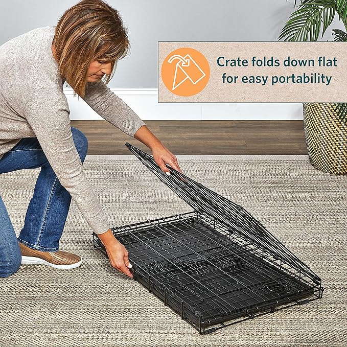 MidWest Homes for Pets Small Dog Crate | Midwest Life Stages 24' Folding Metal Dog Crate | Divider Panel, Floor Protecting Feet, Leak-Proof Dog Pan | 24L x 18W x 19H Inches, Small Dog Breed