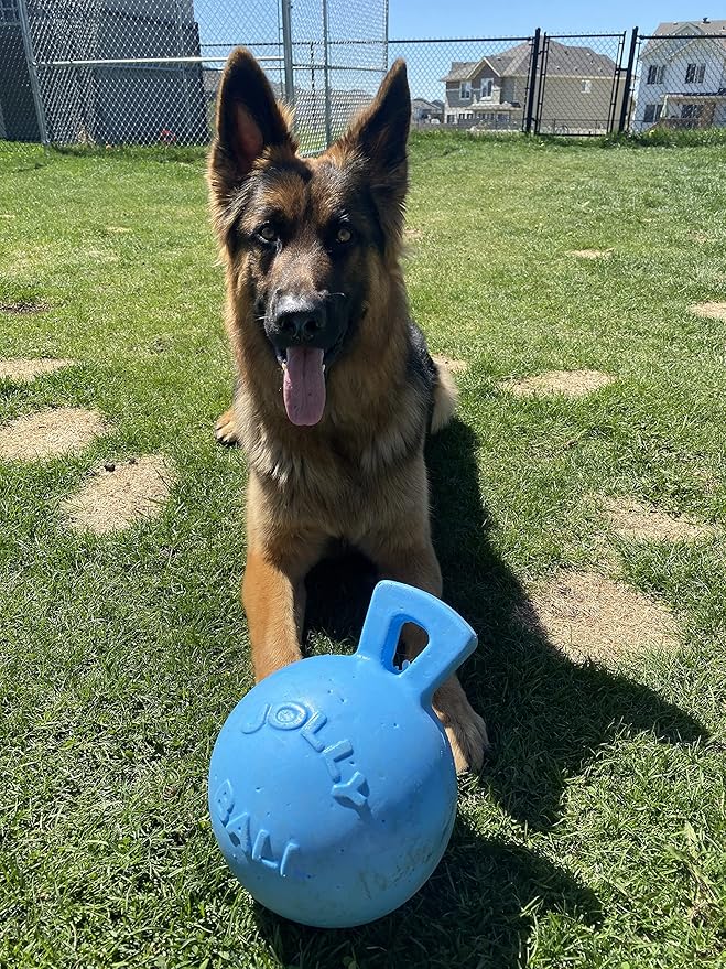 Jolly Pets Tug-n-Toss Heavy Duty Dog Toy Ball with Handle, 8 Inches/Large, Blueberry