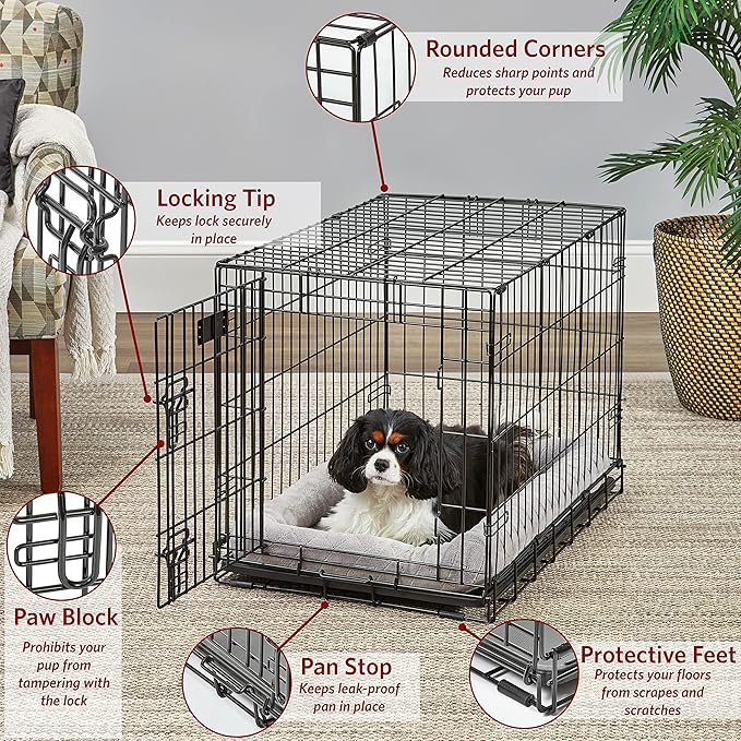 MidWest Homes for Pets Medium Dog Crate | Midwest Life Stages 30' Double Door Folding Metal Dog Breed Crate | Divider Panel,Floor Protecting Feet & Dog Pan | 30.6L x 19.3W x 21.4H Inches