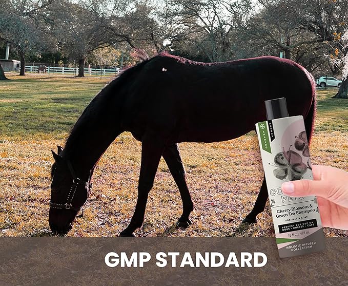 Holistic Natural Derived Cherry Blossom & Green Tea Pet Shampoo: Veterinarian Recommended - Remove Dirt and Condition Your Dog, Cat and Horse Coat - Made in USA - 16 oz