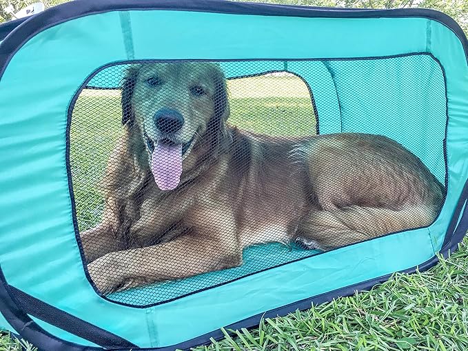 Pop Open Collapsible Travel Crate in 2 Sizes (Large)