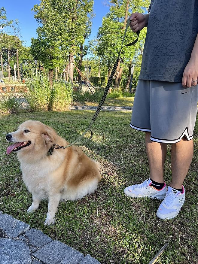 Tactical Dog Collar and Leash Set, Adjustable Military Nylon Dog Bungee Leash and Collar with Handle and Heavy Metal Buckle, Dog Training Collar Leash Set for Medium Large Dog (M, Black)