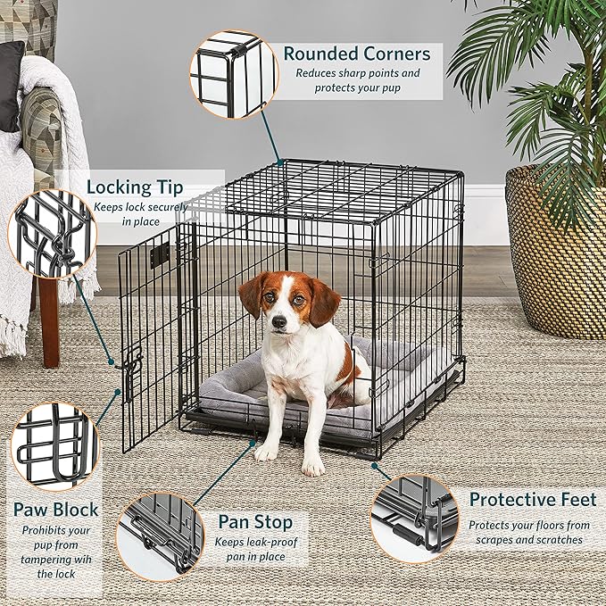 MidWest Homes for Pets Small Dog Crate | Midwest Life Stages 24' Folding Metal Dog Crate | Divider Panel, Floor Protecting Feet, Leak-Proof Dog Pan | 24L x 18W x 19H Inches, Small Dog Breed