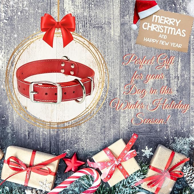 ADITYNA Heavy Duty Leather Dog Collar - Soft and Strong Red Dog Collar for Medium Dogs (Medium: Fit 13" - 20" Neck, Red)