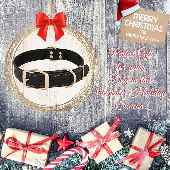 ADITYNA Heavy Duty Leather Dog Collar for Medium Dogs - Soft and Strong Leather Dog Collar for Medium Dog Breeds (Black - Gold Colored Buckle, Medium: Fit 13" - 20" Neck)