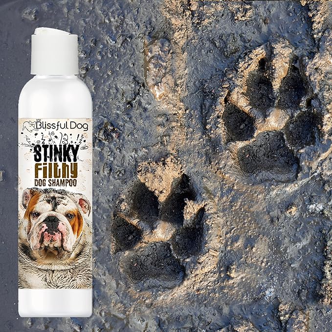 The Blissful Dog Stinky Filthy Dog Shampoo, 16 oz