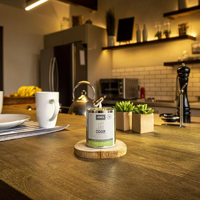 Art & Pets Pet Odor Eliminator Candle Appx 72 Hrs Burning Time | Natural Scented Soy Wax Candle | Dog Smell Eliminator Candle | Cat and Dog Odor Eliminator Candle | Pet Candle (Lime Lemon)