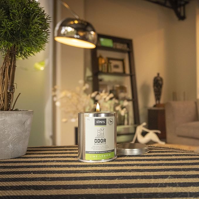 Art & Pets Pet Odor Eliminator Candle Appx 72 Hrs Burning Time | Natural Scented Soy Wax Candle | Dog Smell Eliminator Candle | Cat and Dog Odor Eliminator Candle | Pet Candle (Lime Lemon)