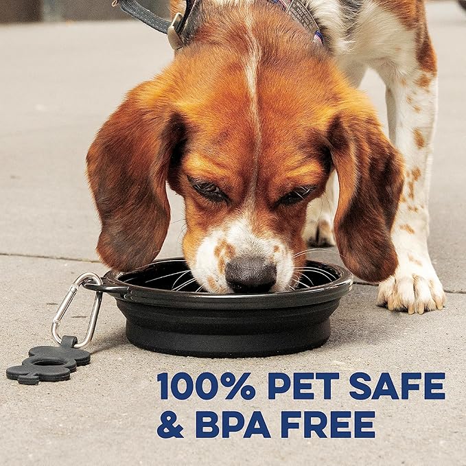 Bonza by Leash Boss Collapsible Dog Slow Feeder Bowl, Portable Silicone Travel Bowl for Food & Water, Slow Eating for Large, Medium, & Small Sized Breeds, Anti-Choking, BPA-Free, Dishwasher Safe